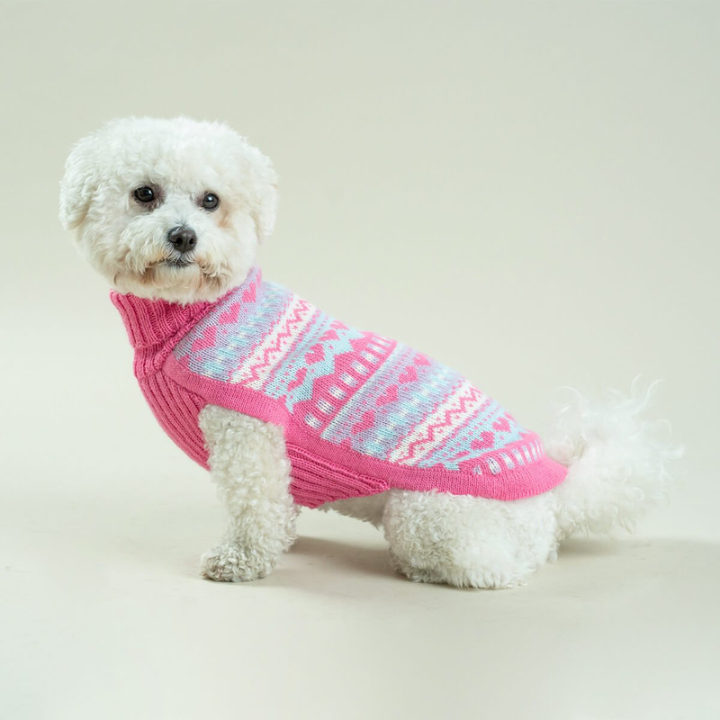 Dog wearing pink geometric knit sweater on a white background