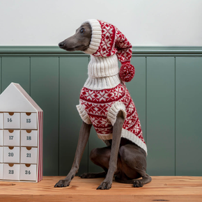 Dog wearing a red and white patterned sweater and hat on a wooden floor with a green paneled wall.