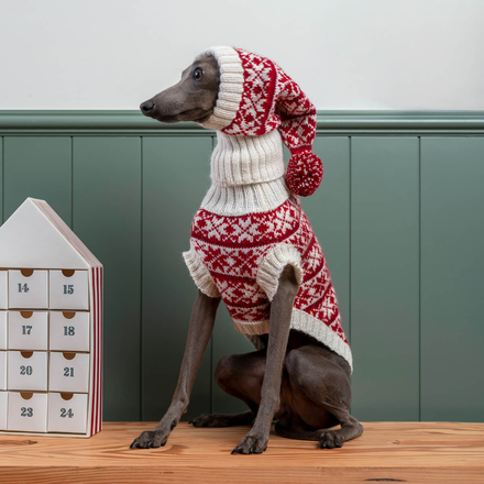 Dog wearing a red and white patterned sweater and hat on a wooden floor with a green paneled wall.