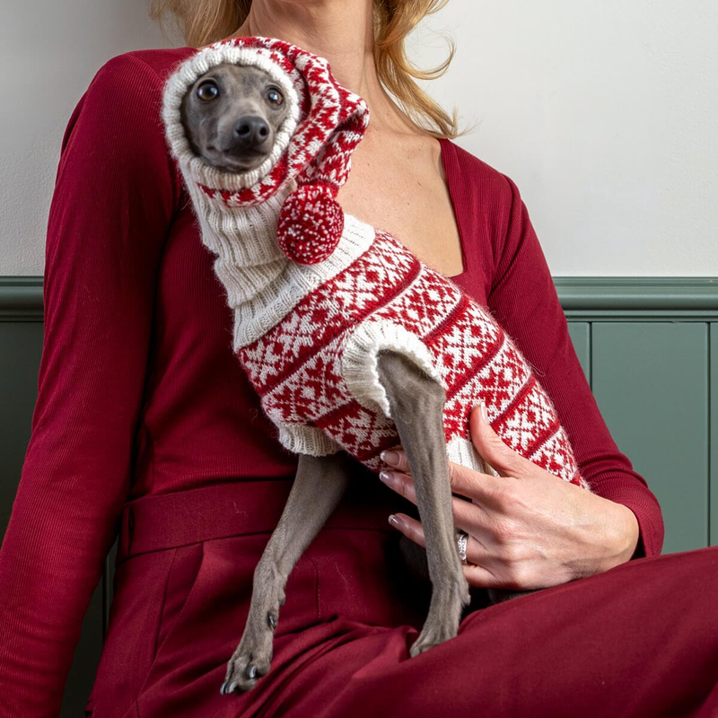 Dog wearing a red and white patterned sweater held by a person in a red outfit.