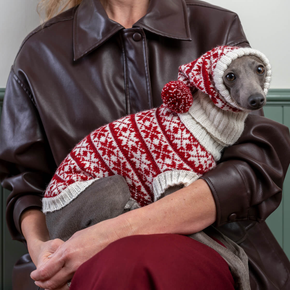 Dog wearing a red and white patterned sweater and hat held by a person in a brown leather jacket.