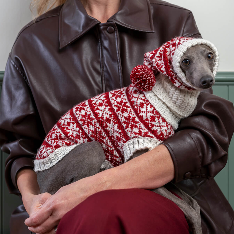 Dog wearing a red and white patterned sweater and hat held by a person in a brown leather jacket.