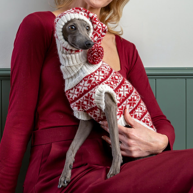 Person holding a dog wearing a red and white patterned sweater against a neutral background