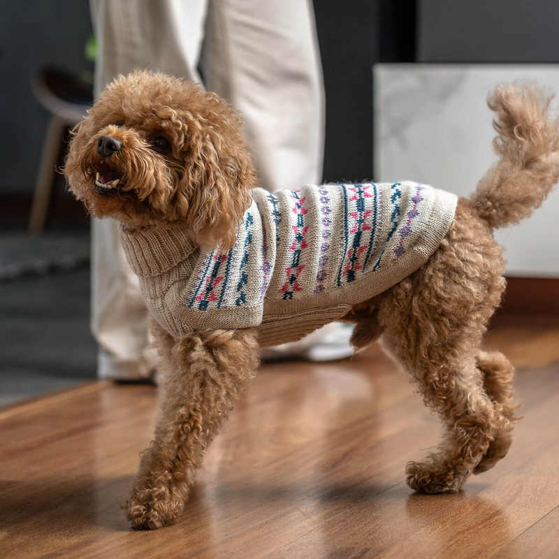 Dog wearing white dog sweater with geometric pattern