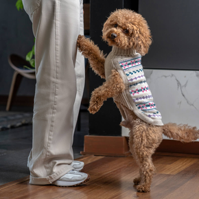 Dog wearing white dog sweater with geometric pattern