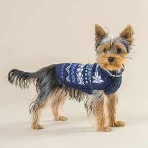 Dog wearing a blue sweater with white patterns on a beige background