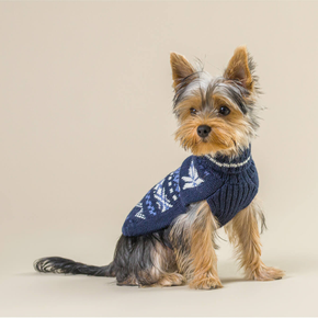 Small dog wearing a blue sweater with white patterns on a beige background