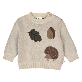 Children's beige sweater with leaf, acorn, and hedgehog designs on a white background