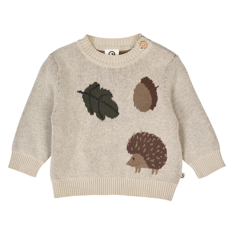 Children's beige sweater with leaf, acorn, and hedgehog designs on a white background