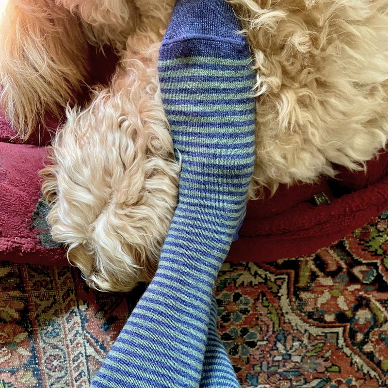 Blue striped socks being worn on a textured rug with a dog in the background