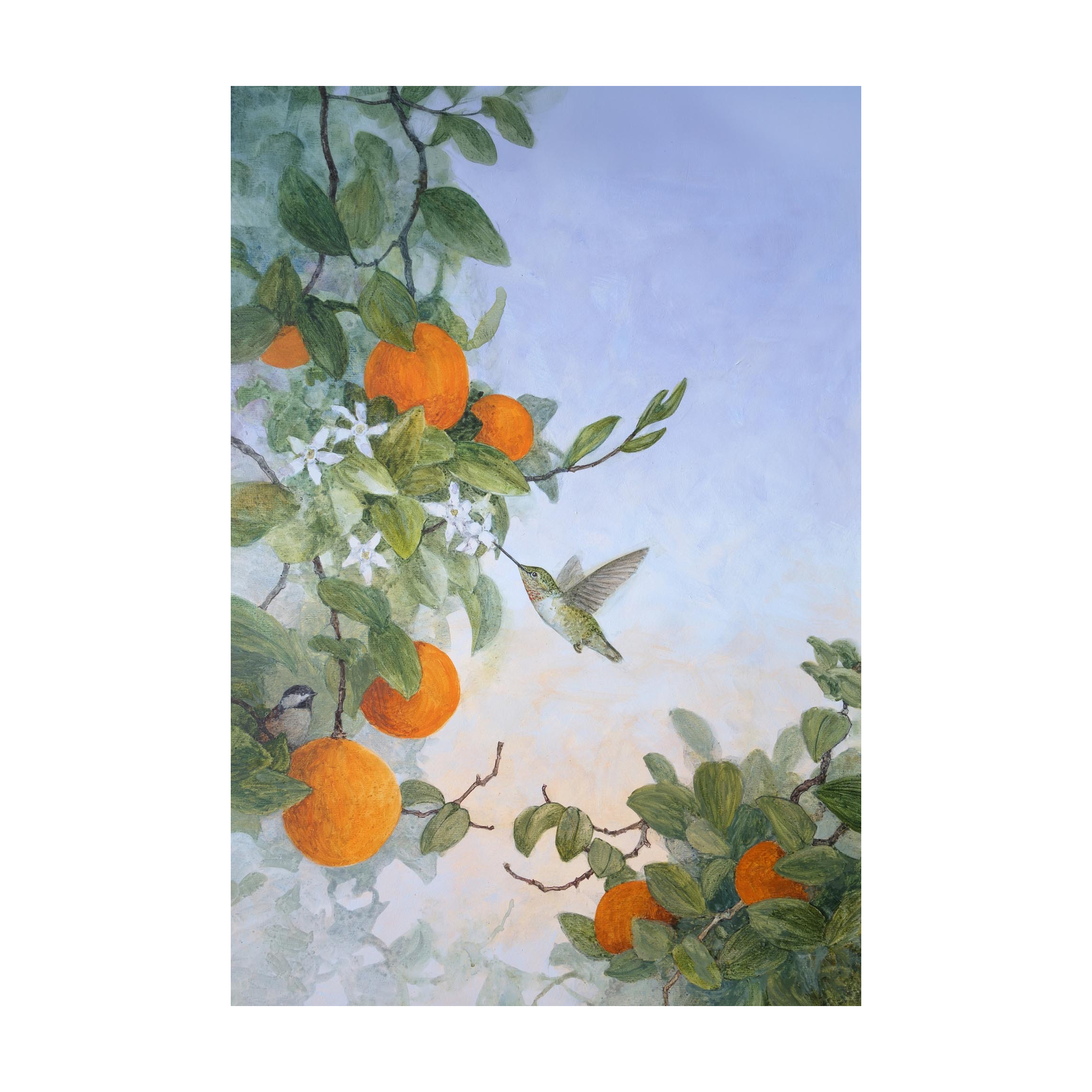 'The Hummingbird and Orange Tree' Card