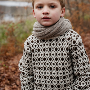 Serendipity Kid's Alpaca Pattern Sweater