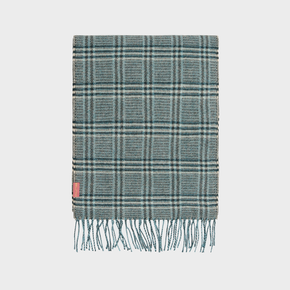 Green plaid scarf with fringes on a light gray background