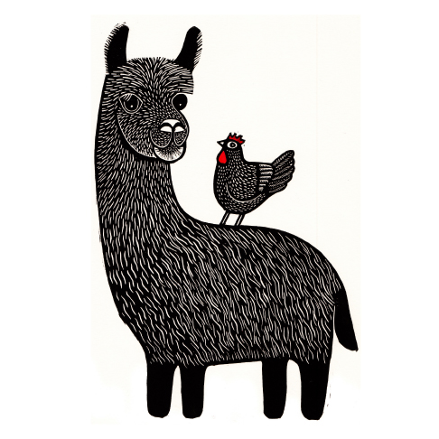 black llama and chicken