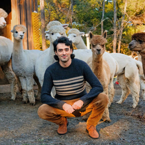 Fluff Overlook Striped Raglan Baby Alpaca Crewneck