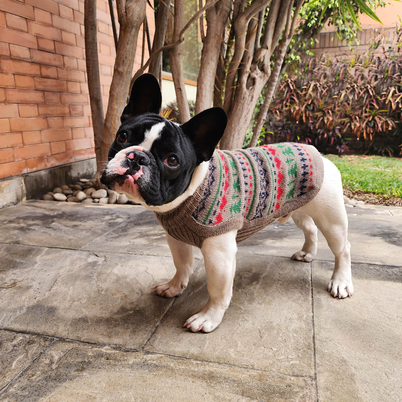 Alqo Wasi Alpaca Pine Tree Holiday Sweater