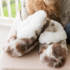 Pair of brown fuzzy slippers and a pair of blue slip-on shoes on a light surface.