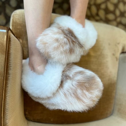 Close-up of a fluffy white and brown object held by a person against a textured wall.