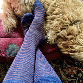 Person wearing blue striped socks sitting on a fluffy beige rug with a dog beside them.
