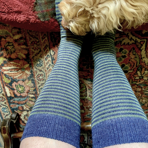 Person wearing blue and green striped socks with a dog on a patterned rug.
