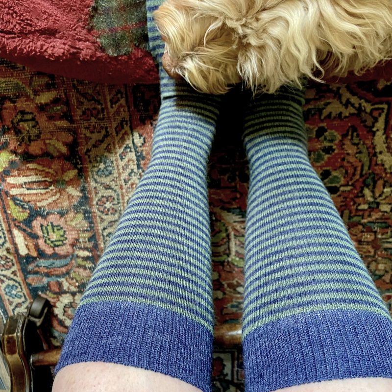 Person wearing blue and green striped socks with a dog on a patterned rug.