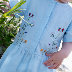 Serendipity Baby Embroidery Dress