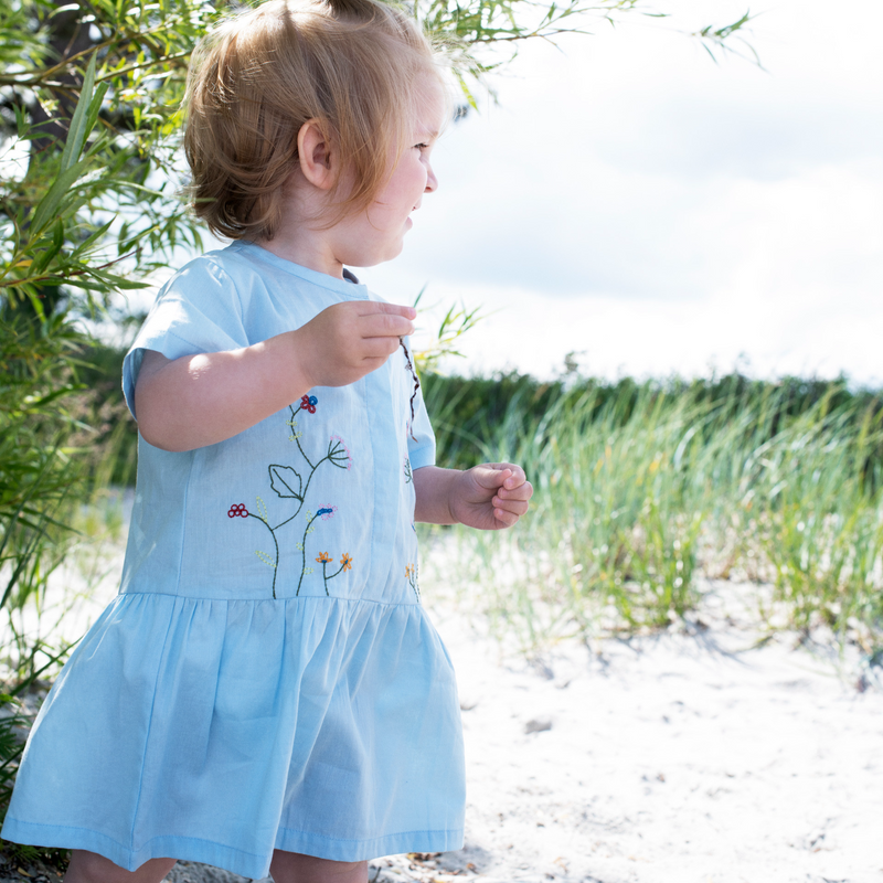 Serendipity Baby Embroidery Dress