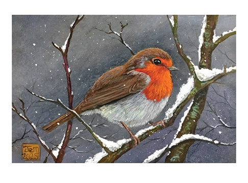'Snowy Branch' Card