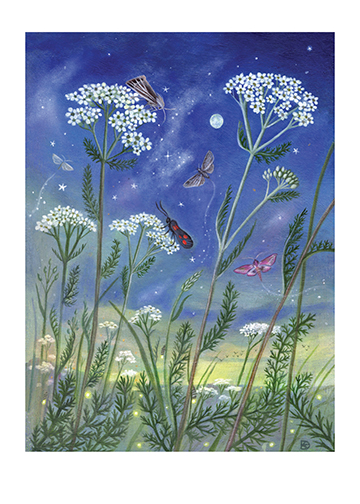 'Yarrow in the Old Meade' Card