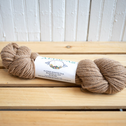 Kendall Creek DK Weight Yarn-100 yards