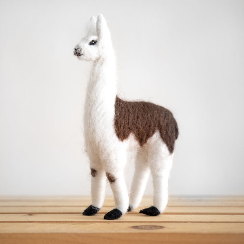 fluffy baby llamas
