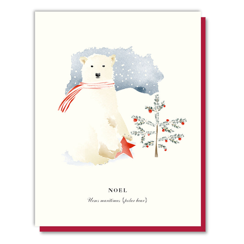 'Noel Polar Bear Christmas' Card