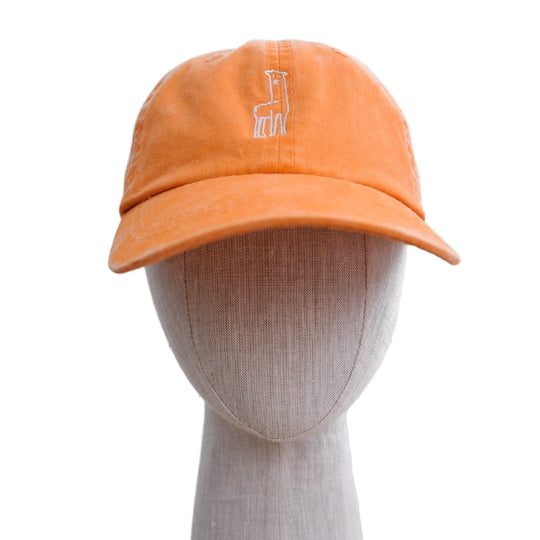 Fluff Alpaca Kids Baseball Hats