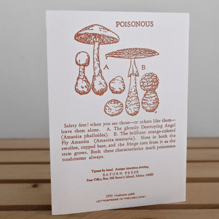 'Mushroom Guide' Card