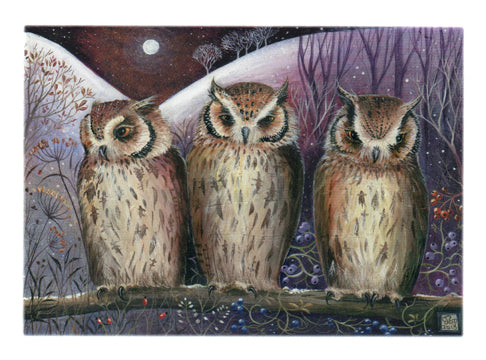 'Three Wise Owls' Card