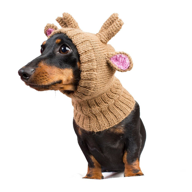 Alqo Wasi Reindeer Hat for Dogs