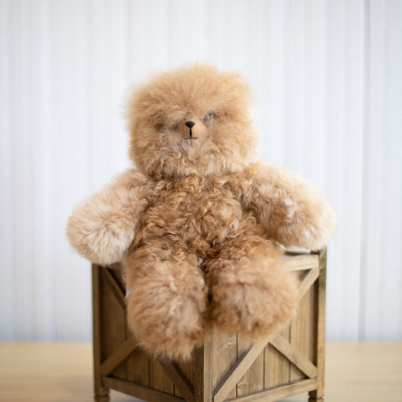 Teddy Bears – 8"