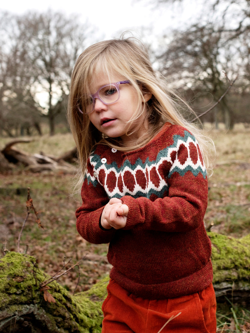 Serendipity Kid's Raglan Sweater