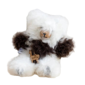 White teddy bear with brown accents wearing a coat on a white background