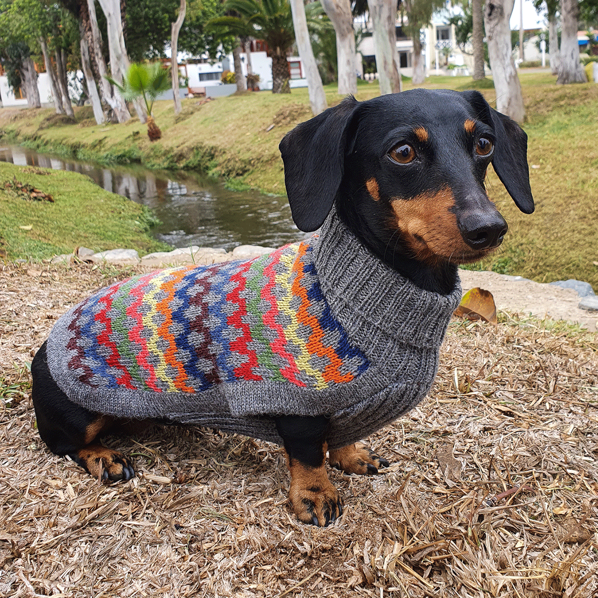 Weiner dog sweater best sale