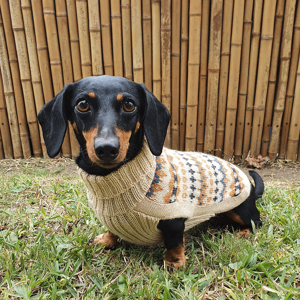 Lelepet Dog Hoodie Dog Sweatshirt with Hood Soft Dachshund Clothes Warm Dog Sweaters for Small Dogs Weiner Dog Clothes Fall Winter Pullover Dachshund