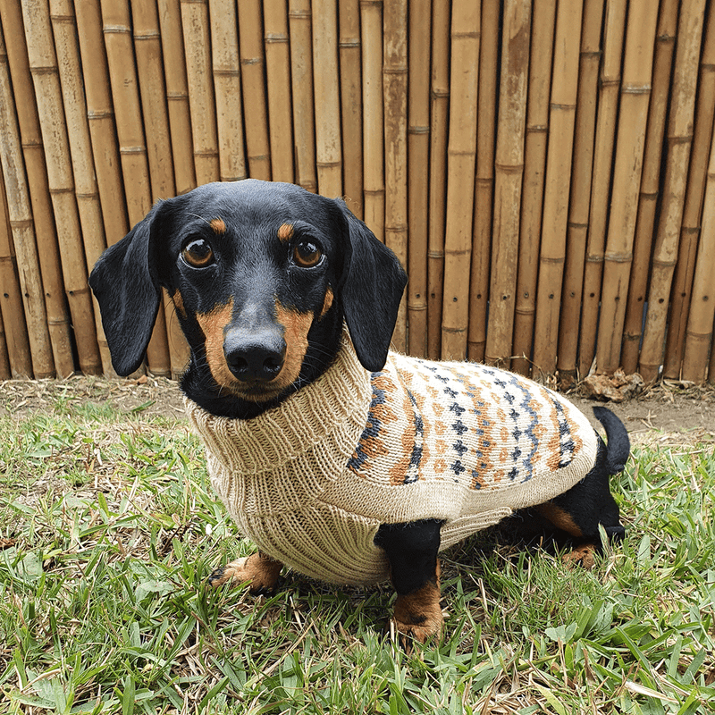 Alqo Wasi Golden Dreams Dog Sweater